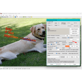 Insert Text dialog