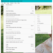 Edit Menu