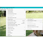 Options Menu